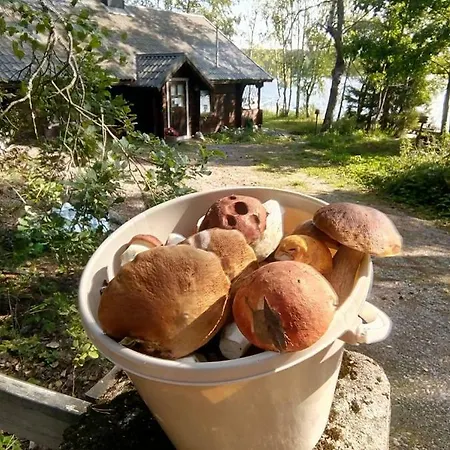 Saunatie *