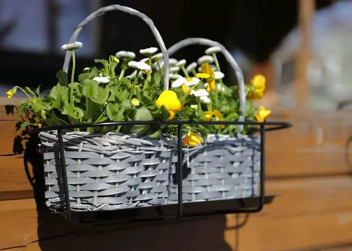 Nyaraló Saunatie Taipalsaari